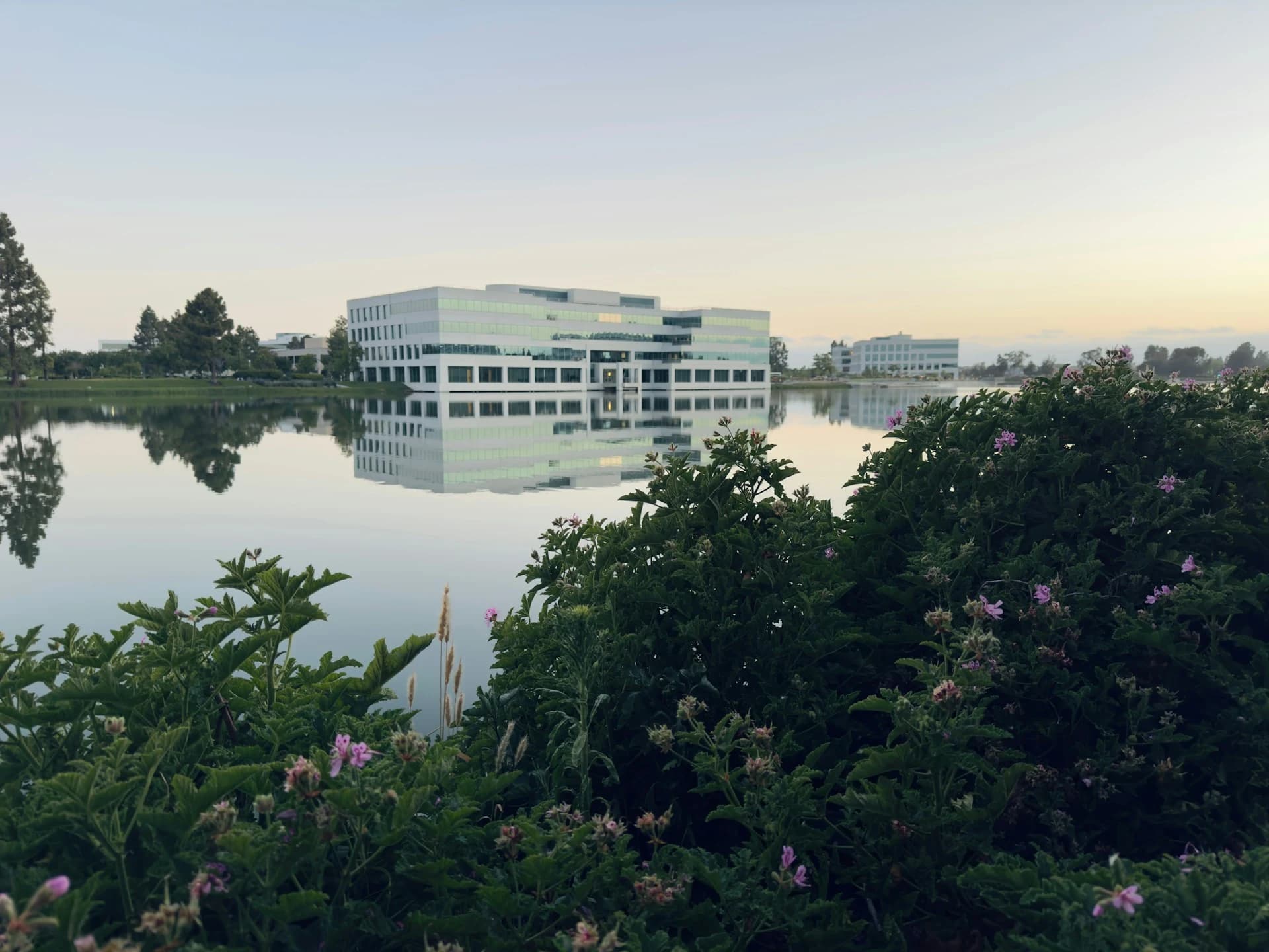 Redwood Shores